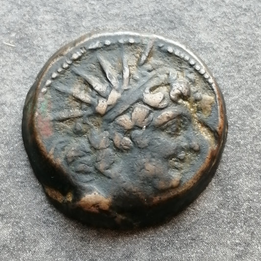 Syrie Royaume séleucide Antiochus VIII (121-96 av JC) Unité cuivre Antioche 6,77 gr 18,5 mm