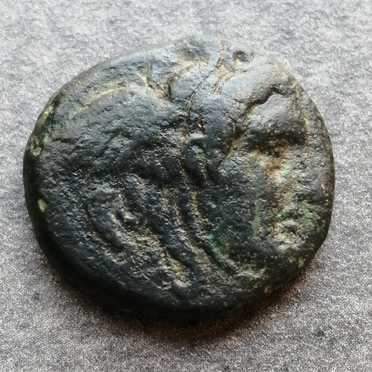 Syrie Royaume Séleucide Antiochus Ier Soter (280-261 av JC) Unité au taureau cuivre 7,32 gr 19,5 mm