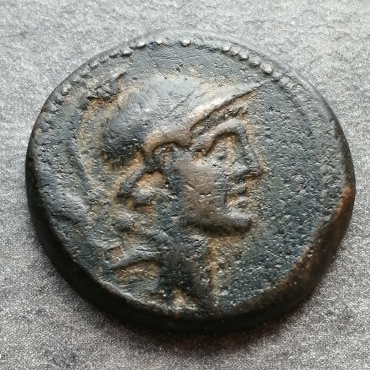 Syrie Royaume Séleucide Alexandre Ier Balas (150-145 av JC) Dichalque Cuivre 6,03 gr 18,5 mm
