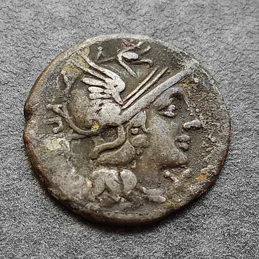 République romaine Denier Sempronia 148 av JC argent 3,49 gr 18,5 mm