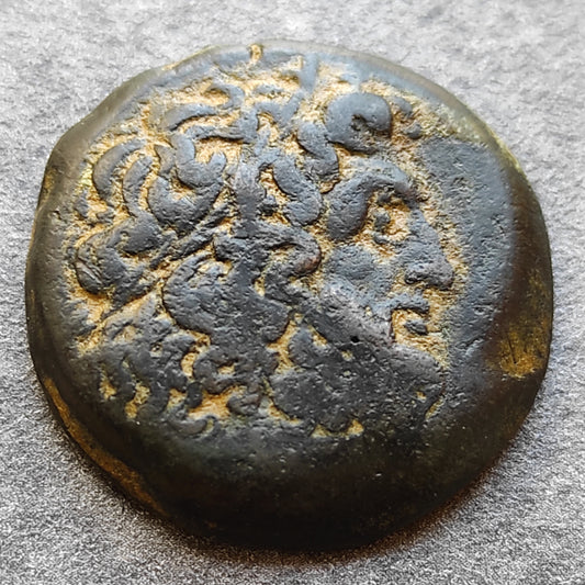 Egypte Royaume Lagide Ptolémée II Philadelphe Dichalque Bronze Alexandrie 27 mm 17,91 gr