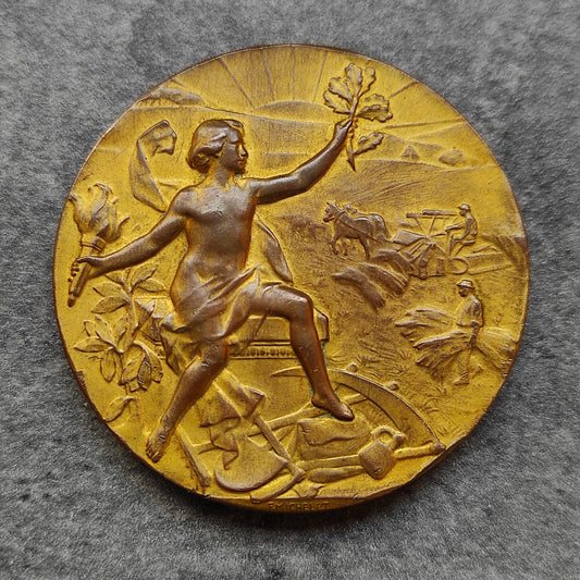 Médaille Société des Agriculteurs du Nord par Michelet 55.62 gr 50 mm