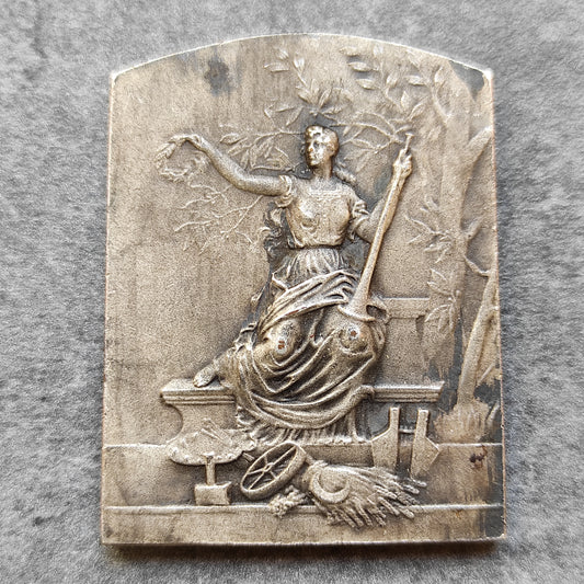 Médaille de la fédération des Amicales Laïques de Lille 53x40 mm 45.09 gr