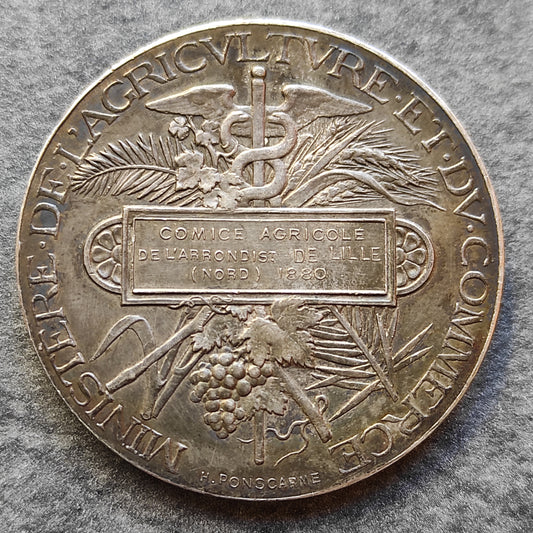 Médaille en argent. Comice agricole de Lille 1880. Par Ponscarme. 42 mm 38.5 gr