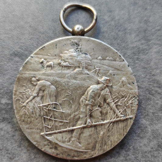 Médaille Comice Agricole de Vouziers (Ardennes). Bronze argenté. Par Naude. 42.05 gr 45 mm