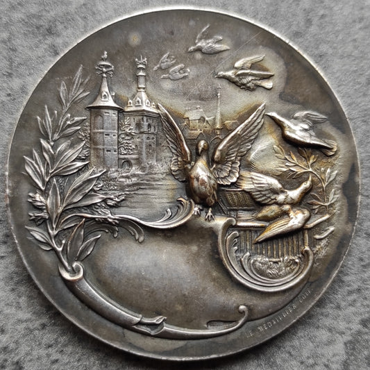 Médaille Ligue Nationale Aérienne Rochefort 8 juin 1913 Bronze argenté 54.55 gr 50 mm