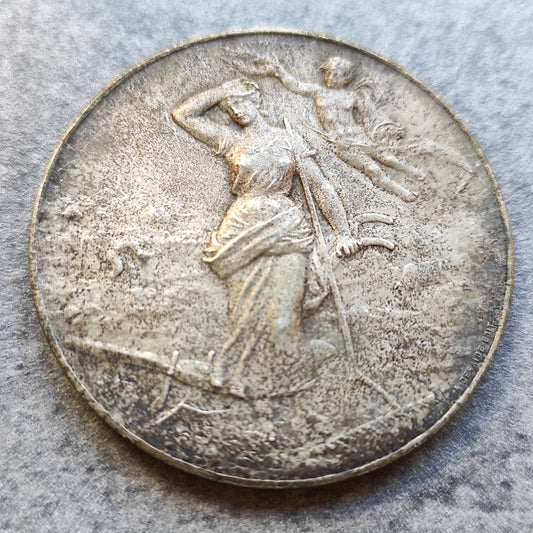 Médaille Comice Agricole de Bagnols (Gard) 1904. Bronze argenté. 47.15 gr