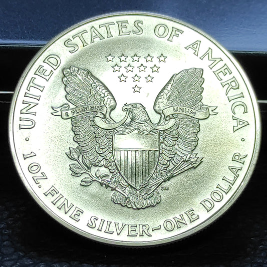 USA 1 Dollar Once 1995 Silver Eagle. Argent. 31.1 gr 40.60 mm